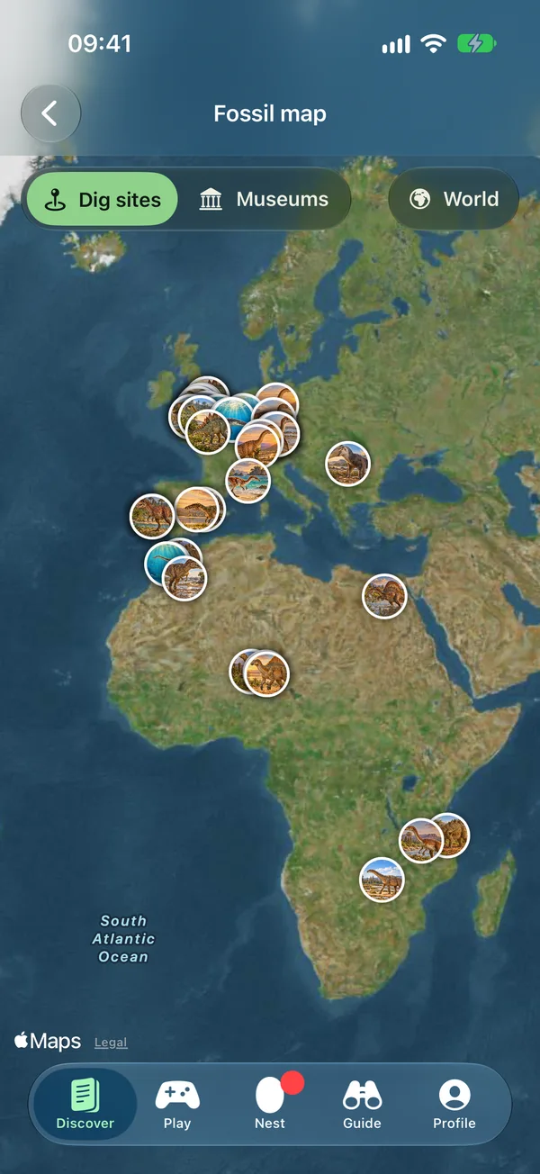 The fossil map